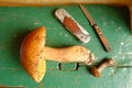 Forest mushrooms on wooden board and knife Royalty Free Stock Photo