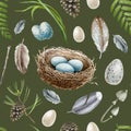 Forest natural elements seamless pattern. Watercolor illustration. Hand drawn birds nest, eggs, feathers, fern and pine Royalty Free Stock Photo