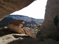 Forest nature rocks canyon autumn Royalty Free Stock Photo