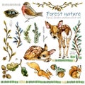 Forest nature and wild animals watercolor set Royalty Free Stock Photo