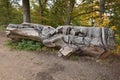 Tree turned over in wooden sculpture at forest border