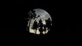 Forest at Night with Big Full Moon Royalty Free Stock Photo