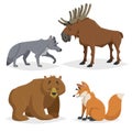 Forest North America and Europe animals set. Wolf, moose, bear and red fox. Happy smiling and cheerful characters. Vector zoo illu Royalty Free Stock Photo