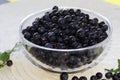 Forest Northern berry blueberry lies in a transparent plate on a light wicker background