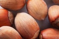 Forest nuts hazelnuts. Hazelnut background, healty food
