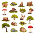 Forest Objects with Tree, Stump, Bush, Mushroom and Mossy Stone Big Vector Set Royalty Free Stock Photo