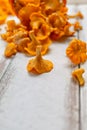 Forest Orange mushrooms chanterelles in a wicker basket and scattering on a white wooden table. Close up. Blur background Royalty Free Stock Photo