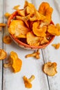 Forest Orange mushrooms chanterelles in a wicker basket and scattering on a white wooden table. Close up. Rustic style Royalty Free Stock Photo