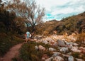 Forest outdoors nature landscape background people traveling walking path