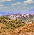 Forest outside the city Royalty Free Stock Photo