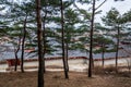 Forest of the Paldal Gongwon Park, next to the Hwaseong Haenggung Palace in Suwon, the largest one of where the king Jeongjo and