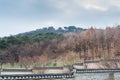 Forest of the Paldal Gongwon Park, next to the Hwaseong Haenggung Palace in Suwon, the largest one of where the king Jeongjo and