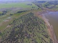 Forest in Pampas, Argentina