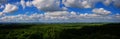 Forest Panorama Aerial View - Wide Horizon With Blue Sky