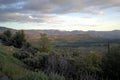 Forest panorama at sunset