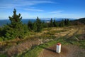 Forest, Panorama, OrlickÃÂ© Mountains, Czech Republic