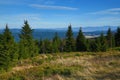 Forest, Panorama, OrlickÃÂ© Mountains, Czech Republic