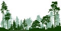 Forest, park, alley. Landscape of isolated trees. Vector illustration