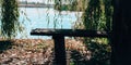 Forest park bench on the shore of a lake. Autumn weather mood Royalty Free Stock Photo