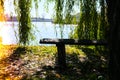 Forest park bench on the shore of a lake. Autumn weather mood Royalty Free Stock Photo