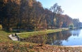 Forest, park, reflection of trees in a river, lake. River bank. One person on bridge