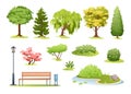 Forest and park trees vector illustration. Cartoon various green summer deciduous and evergreen trees, bushes with