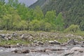 Forest park, forest, park, vegetation, scenery, background, tourism, China, qinghai mutual forest park, green, Oriental civilizati