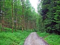 Forest parks with promenades and panoramic views of the city of St. Gallen - Switzerland