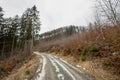 Forest passable road used by lumberjacks. Partly forest. Royalty Free Stock Photo