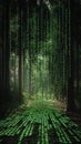 Forest path appears to be filled with falling green code, resembling a digital forest Royalty Free Stock Photo
