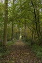 A forest path in autumn colors near the Linschoten estate Royalty Free Stock Photo