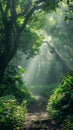 A forest path comes alive with ethereal morning light piercing through the foliage, creating a magical and serene Royalty Free Stock Photo