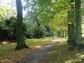 Forest Path