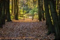 Forest path with entrance gate in the colorful Bergerbos in the Netherlands during autumn. Royalty Free Stock Photo