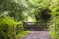 Forest path with gate Royalty Free Stock Photo