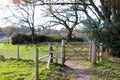 Forest Path Gate Royalty Free Stock Photo