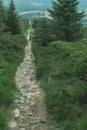 Forest path going through the mountains downhill Royalty Free Stock Photo