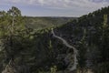 A Forest Path in the Judea Mountains near Jerusalem, Israel Royalty Free Stock Photo