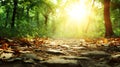 Forest path leading forward with bright sun rays coming through green trees, symbolizing hope and journey Royalty Free Stock Photo
