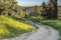 A Forest Path near Jerusalem, Israel Royalty Free Stock Photo