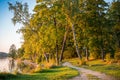 Forest path near lake Royalty Free Stock Photo