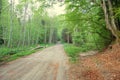 Forest path panorama Royalty Free Stock Photo