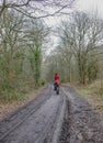 Forest path with rear view of lady in red riding a chestnut horse. Royalty Free Stock Photo