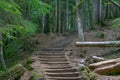 Forest Pathway and Wooden Stairs Royalty Free Stock Photo