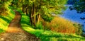 Scenic nature landscape of path near lake Royalty Free Stock Photo