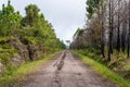 Forest path Up on Phu Kradueng Royalty Free Stock Photo