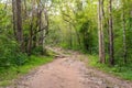 Forest path Up on Phu Kradueng. Royalty Free Stock Photo