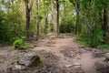 Forest path Up on Phu Kradueng. Royalty Free Stock Photo