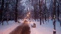 Forest path winter Royalty Free Stock Photo