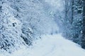 Forest pathway covered in snow, high in mountains Royalty Free Stock Photo